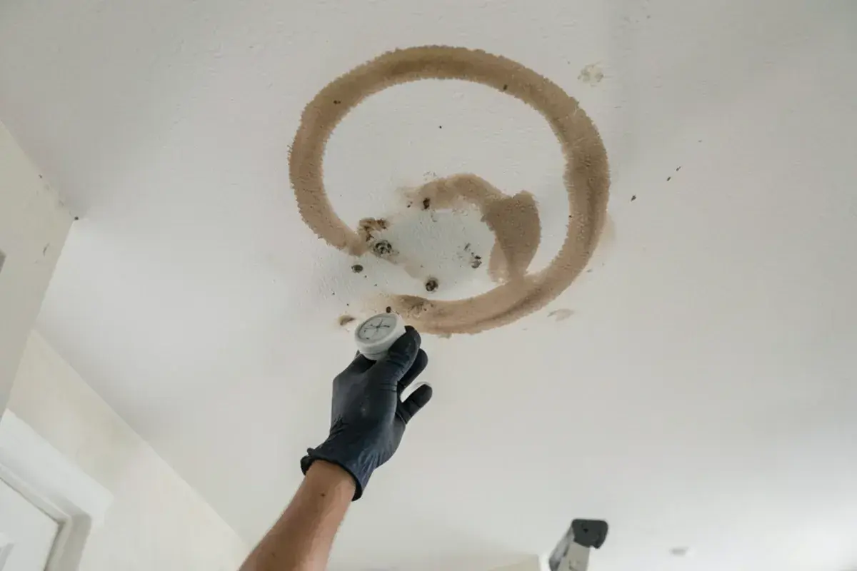 Moisture meter held against a brown water stain on a ceiling below an upstairs bathroom